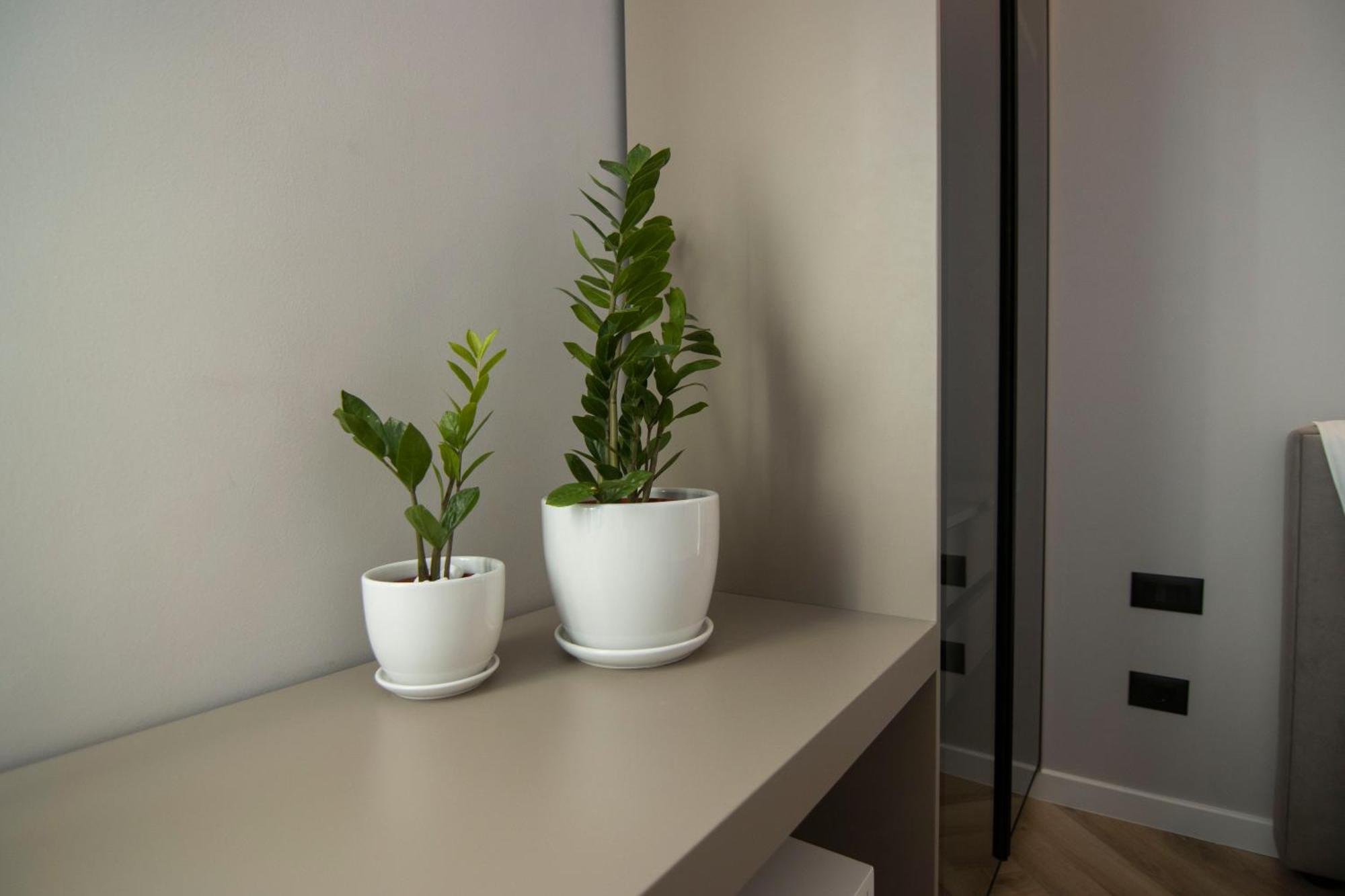 Mina Luxury Rooms Tirana Kültér fotó